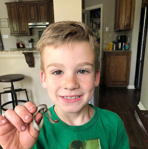 Meet your Posher, Easton